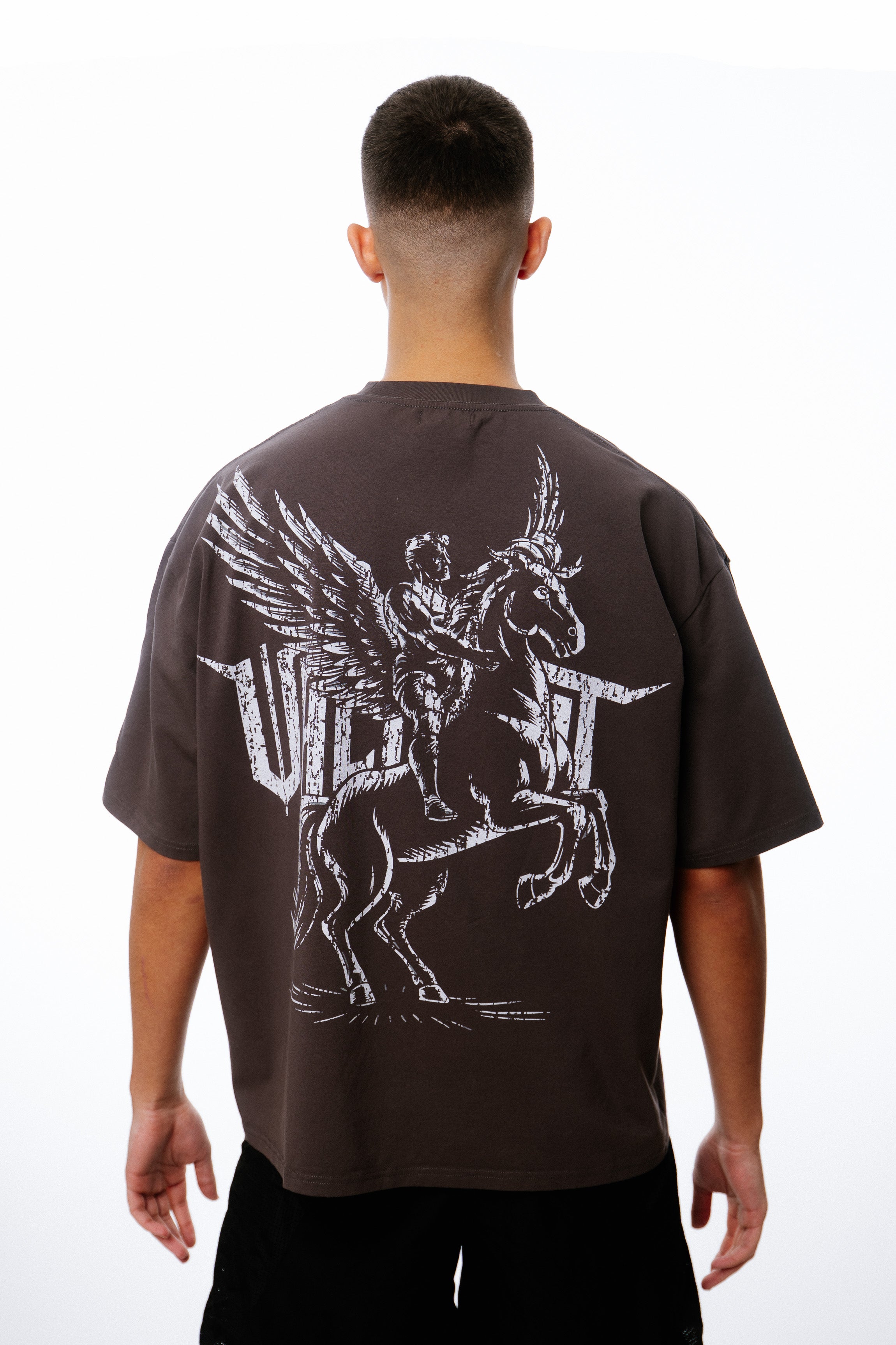 OVERSIZED PEGASUS RIDER T-SHIRT | LEGACY SERIES